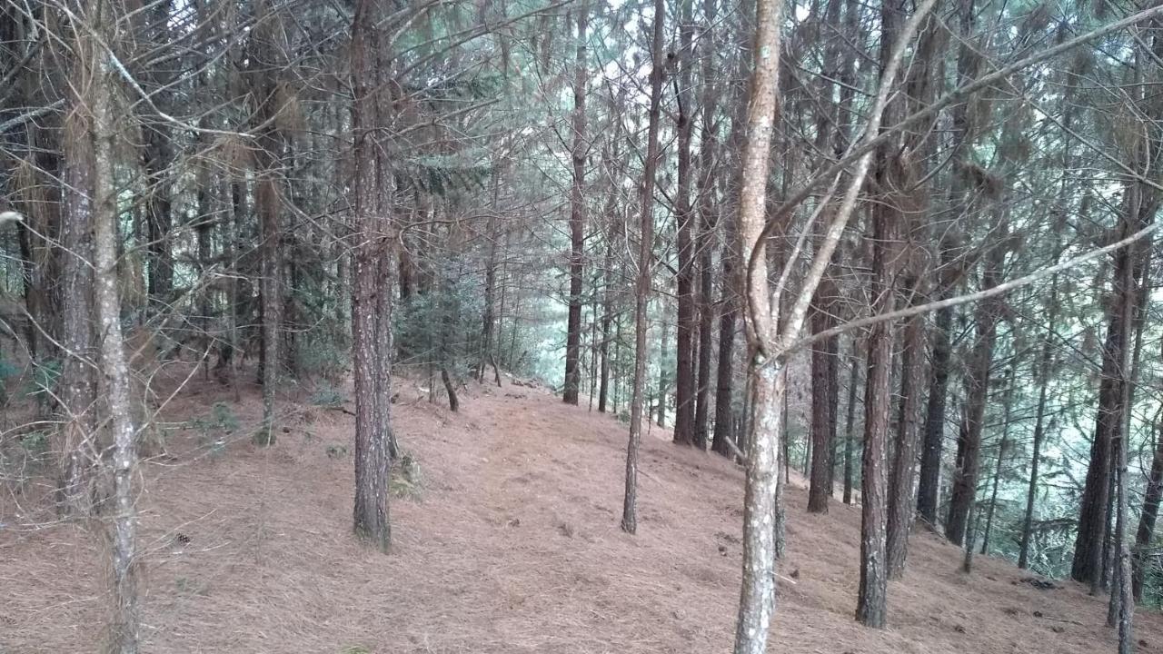 Chale Estancia Ouro Verde Lages Eksteriør bilde