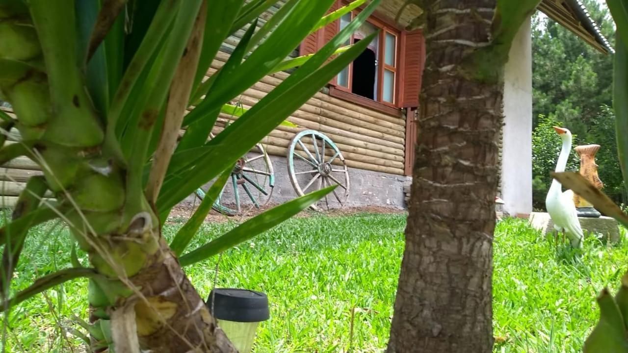 Chale Estancia Ouro Verde Lages Eksteriør bilde