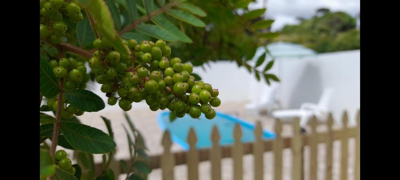 Chale Estancia Ouro Verde Lages Eksteriør bilde