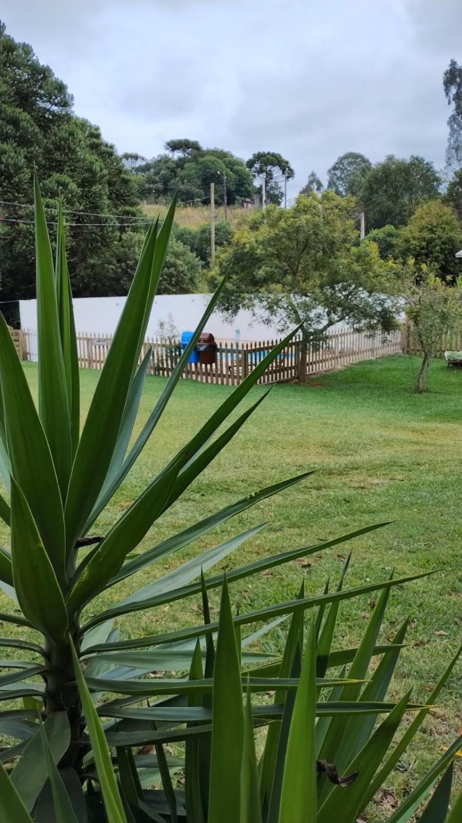 Chale Estancia Ouro Verde Lages Eksteriør bilde
